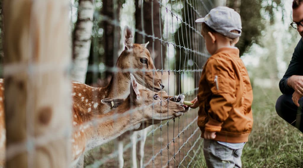 Parc zoologique d'animaux rares d'Ebbs 