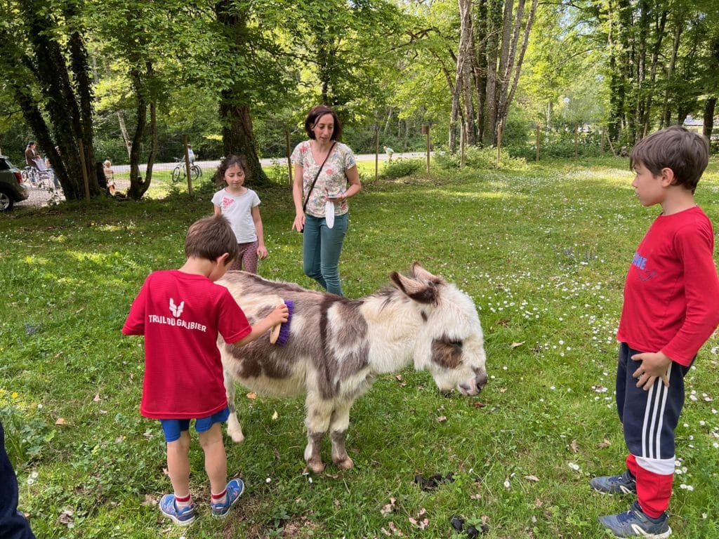 Visite animalière âne toy