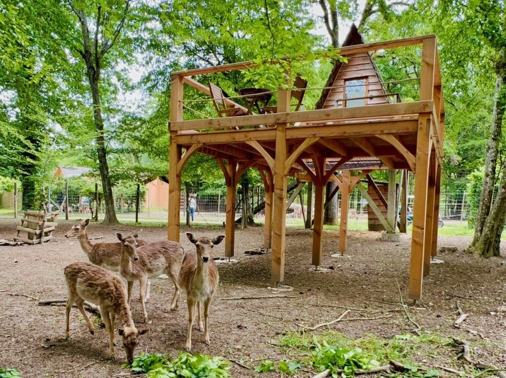 cabane cerf 4 Domaine de la Dombes