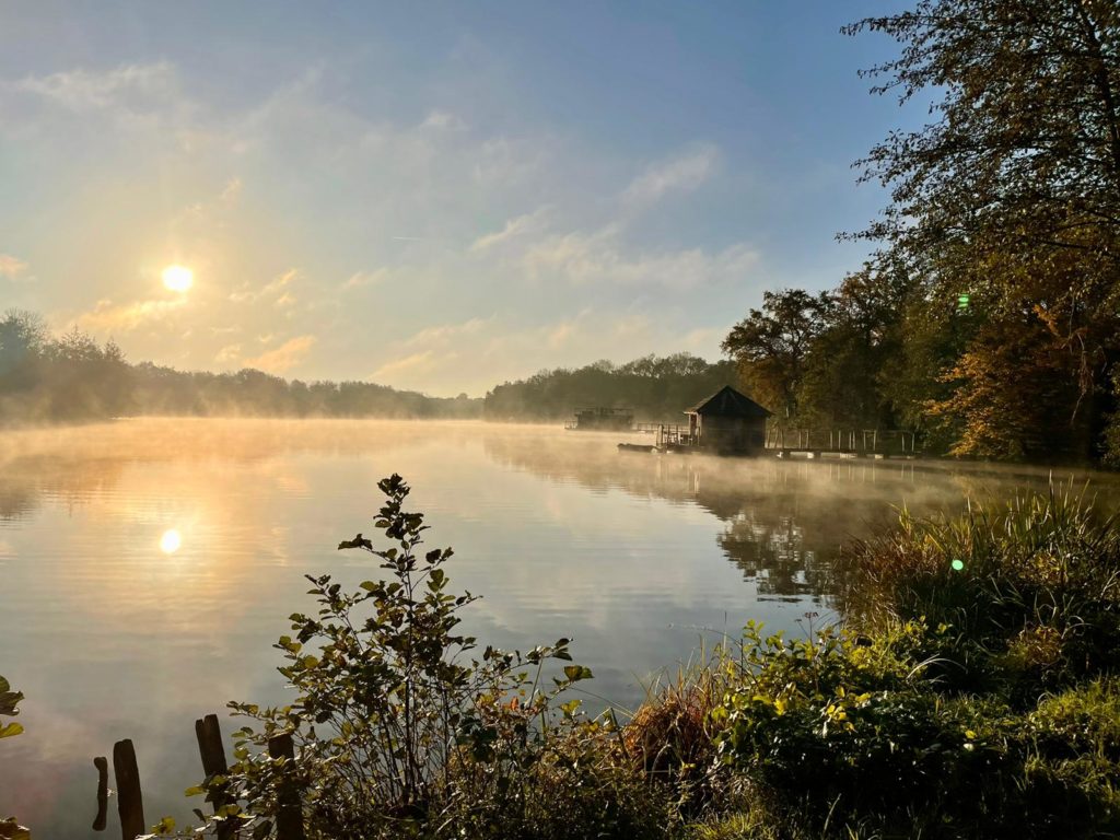 étang brume automne Domaine de la Dombes