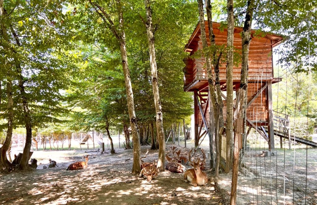 que faire dans l'ain 
: cabane rennes Domaine de la Dombes