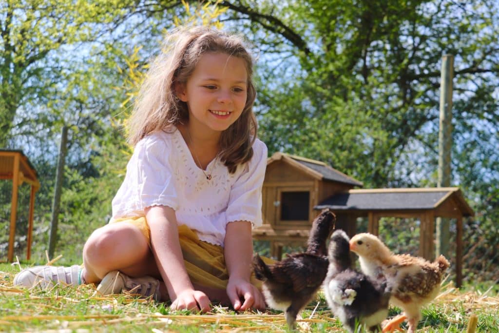 visite animaux nurserie Domaine de la dombes