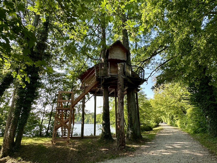 cabane ecureuil