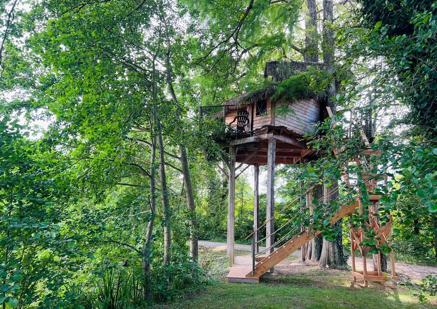 cabane ecureuil