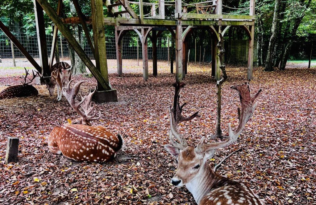 écolodge Rhône alpes