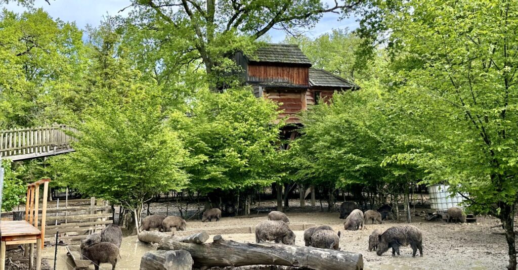 Cabane insolite dans un parc animalier au Domaine de la Dombes