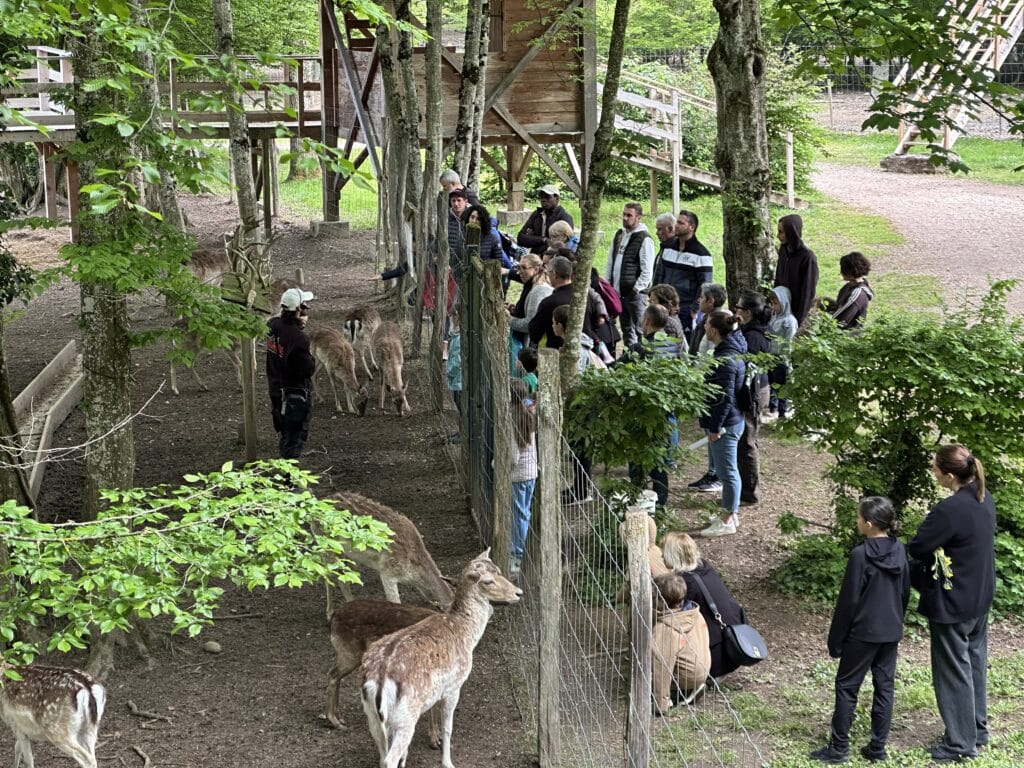 nourrissage commenté des parcs animaliers du Domaine de la Dombes